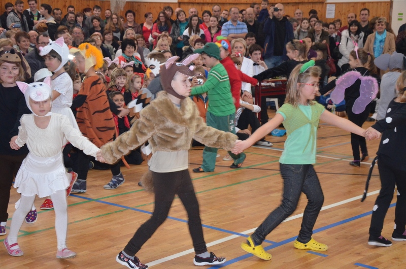 DSC_0207 (800x530)