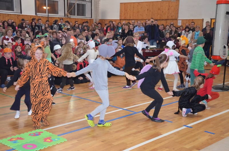 DSC_0208 (800x530)