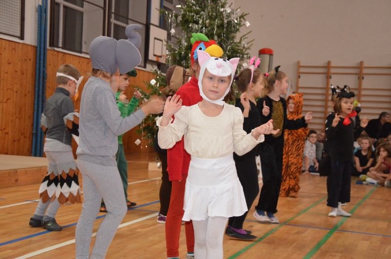 DSC_0212 (800x530)
